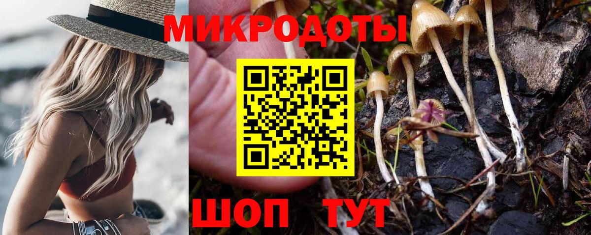 Галлюциногенные грибы мухоморы Серов