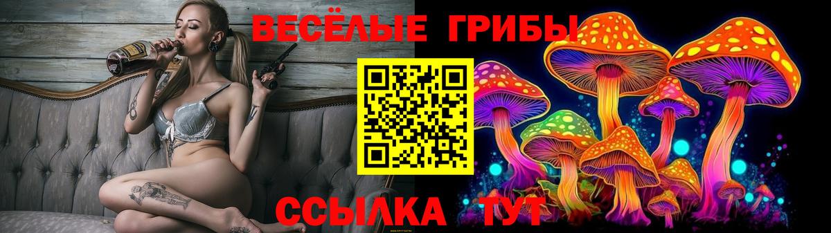 Галлюциногенные грибы GOLDEN TEACHER  Вход с VPN  Серов  Псилоцибиновые грибы Magic Shrooms 