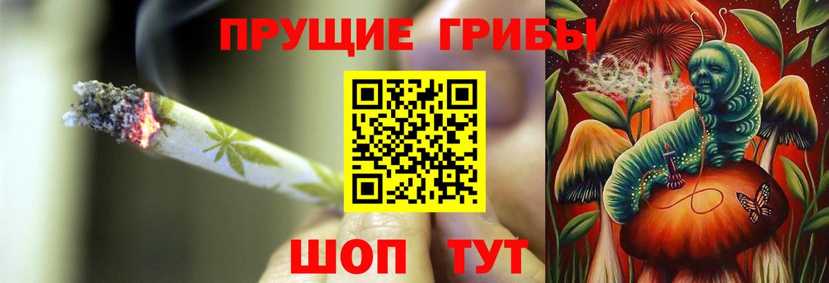 Галлюциногенные грибы Psilocybe  Серов 