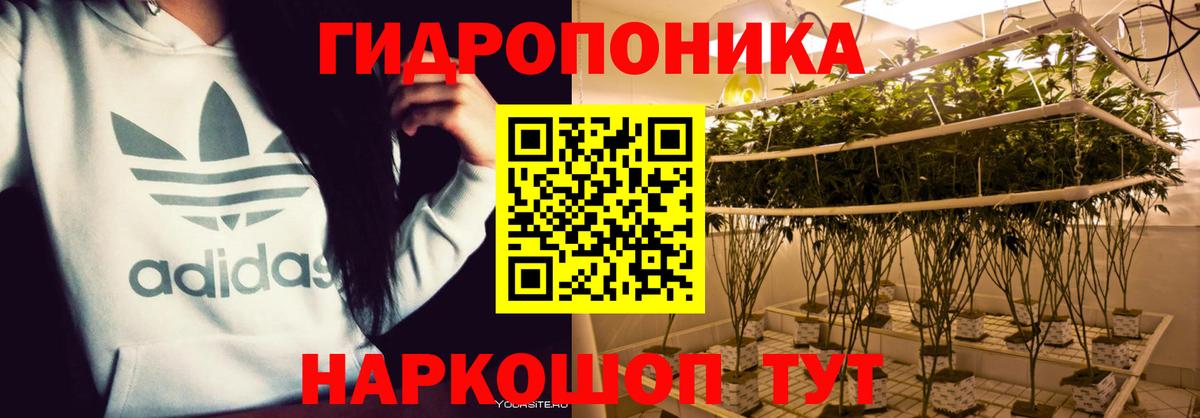 Канабис марихуана  Вход с VPN  Серов  Бошки марихуана гибрид  МАРИХУАНА сатива 
